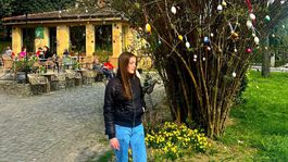 veľkonočný strom, Bojnice