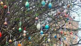 zámok, vajíčkovník, Bojnice