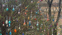 zámok, vajíčkovník, Bojnice