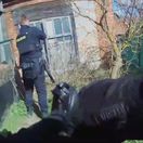 väzeň polícia
