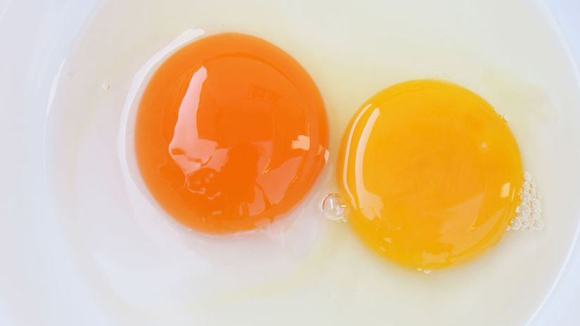 vajce, vajcia, žĺtok, žĺtky, žltá, oranžová