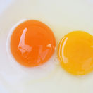 vajce, vajcia, žĺtok, žĺtky, žltá, oranžová