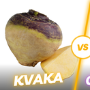 kvaka, okrúhlica,