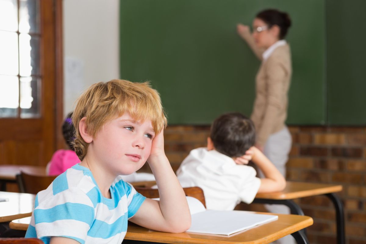 dieta v skole