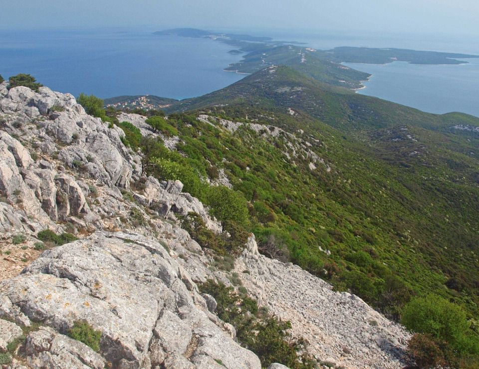 Osorščica