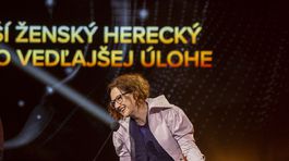 2025-04-16 slnko v sieti 034 foto zdenko hanout