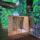 EXPO Osaka Filip Kulisev