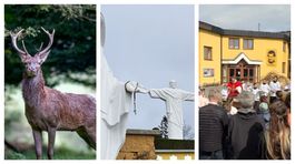 koláž, fotky, mReportér