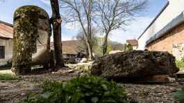Podjavorinské múzeum Nové Mesto nad Váhom