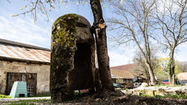 Podjavorinské múzeum Nové Mesto nad Váhom