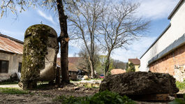 Podjavorinské múzeum Nové Mesto nad Váhom