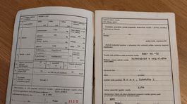 Volga GAZ-24 - 1971 na predaj