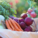 mrkva, cvikla, cibuľa,