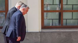 Fico, Orbán