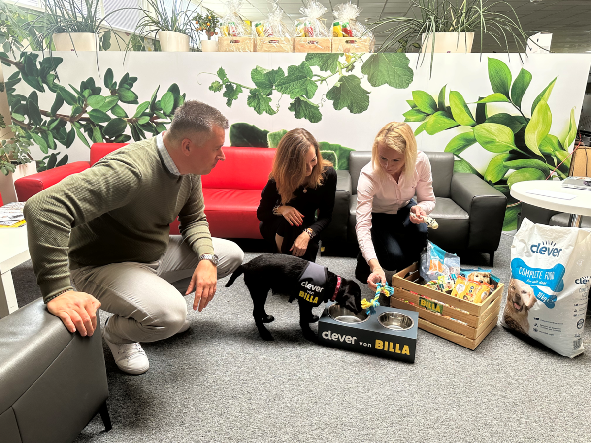 BILLA je patrónom budúceho vodiaceho psa.
