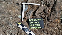 SR Brestovany výskum prezentácia vrak stíhačka Messerschmitt 