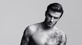 8 becks