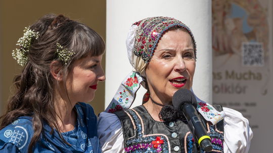 Mucha na stene do tretice. Je to už taký piešťanský folklór