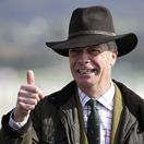 Nigel Farage