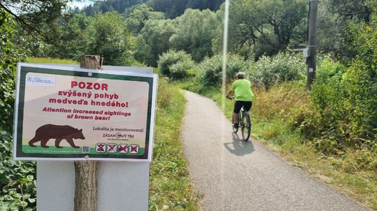 Európski odborníci z deviatich krajín vyzvali Tarabu, aby zastavil plošný odstrel medveďov