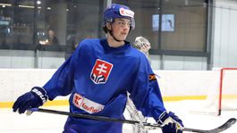 09. Dalibor Dvorský