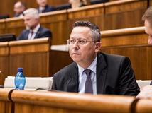 Ladislav Kamenický