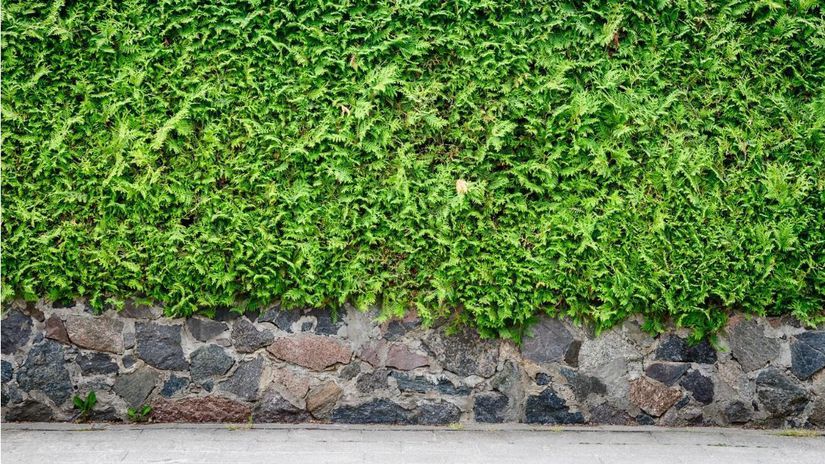 M M Martinec  s.r.o.