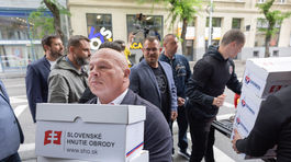 referendun slovenske hnutie obrody, domov narodna strana
