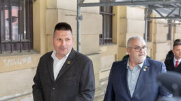 referendun slovenske hnutie obrody, domov narodna strana