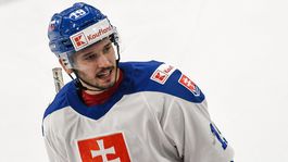 11b. Patrik Hrehorčák