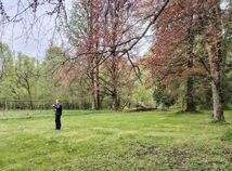 Coburgovský park, Pohorelská Maša