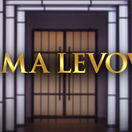 Jama levova logo