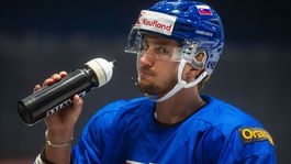 14b. Pavol Regenda