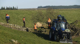 Hadrian's Wall / Felled Tree / Sycamore Gap Tree /