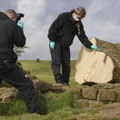 Hadrian's Wall / Felled Tree / Sycamore Gap Tree /