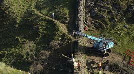 Hadrian's Wall / Felled Tree / Sycamore Gap Tree /