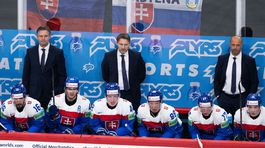 Slovensko - Švédsko