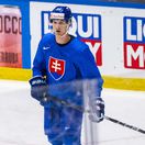 Švédsko SR Štokholm MS2025 Slovensko Slovinsko tréning A sku