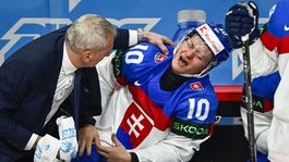 Slovensko - Rakúsko