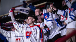Slovensko - Rakúsko
