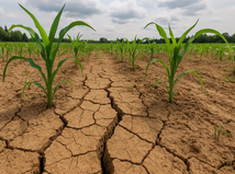 sucho, záhrada, voda, NEPOUŽÍVAŤ