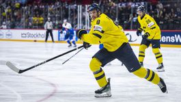 17. Jonas Brodin