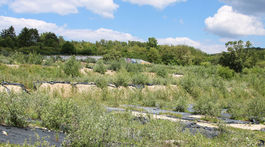 BRATISLAVA: Areál nemocnice Rázsochy