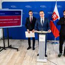 TK MPSVR Odstranenie diskriminacie seniorky