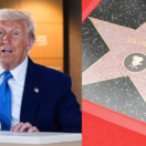 trump hollywood