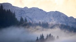 juzne karpaty, piatra craiului, vapenec,