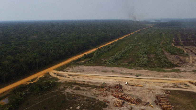 amazonia
