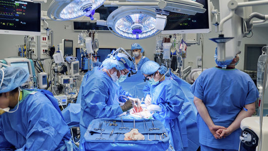 Nová nádej pre tisíce pacientov: Lekárom sa prvýkrát podarilo transplantovať dôležitý orgán