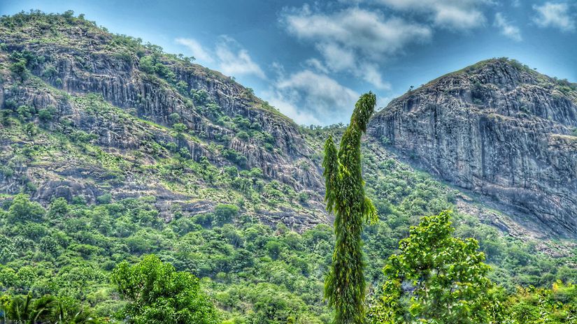 Benin, Afrika, kopce, hora, zeleň, les, stromy,...