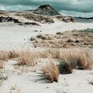 Poľsko, púšť, Błędowska, piesok, pustatina,